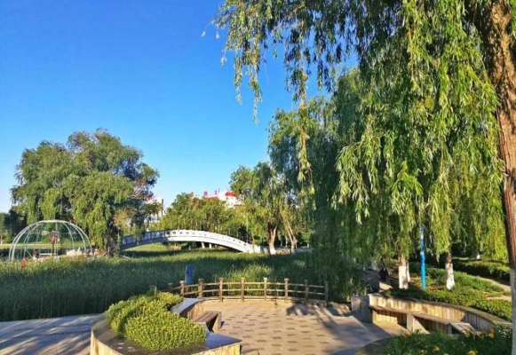 赤峰水山公園旱冰場(chǎng)電話號(hào)碼-第1張圖片