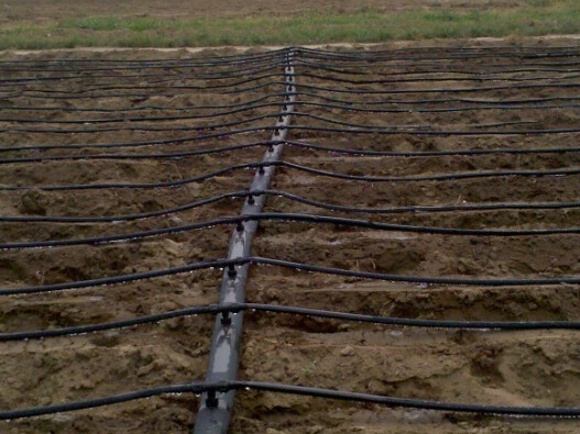 赤峰林西滴灌帶廠家電話號(hào)碼-第1張圖片