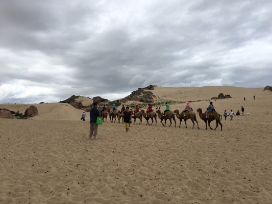 赤峰市騎馬場地址電話號碼-第1張圖片