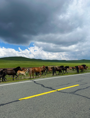 赤峰尚鵬診所電話地址是多少號(hào)-第1張圖片