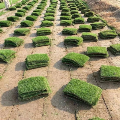 赤峰種植土廠家電話多少號-第1張圖片