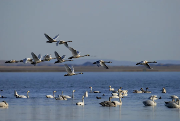 赤峰達(dá)康服裝店地址電話號(hào)碼-第1張圖片