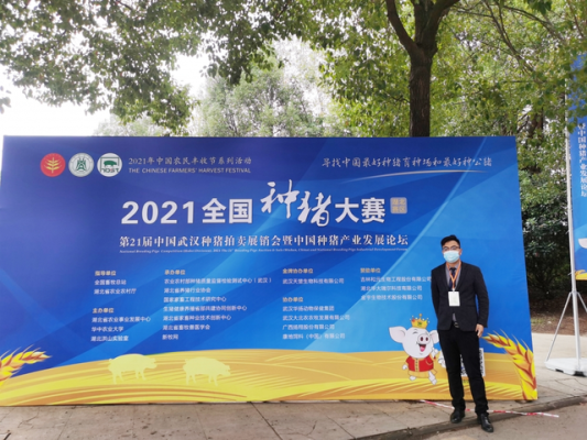 赤峰家育種豬場老總電話是多少-第1張圖片