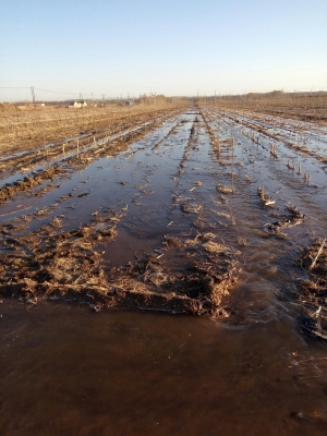 赤峰市松山區(qū)團(tuán)委官網(wǎng)-第1張圖片