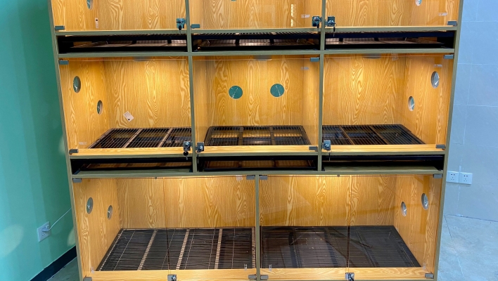 赤峰唯寵寵物生活館電話號碼-第1張圖片