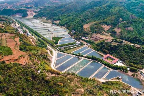 赤峰市抗浪魚(yú)店電話(huà)號(hào)碼-第1張圖片