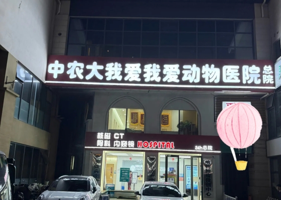 赤峰通遼寵物醫(yī)院地址電話號(hào)碼-第1張圖片