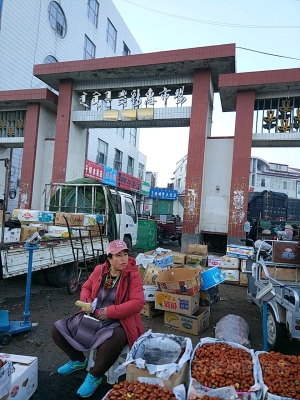 赤峰舊城水果店電話號(hào)碼多少-第1張圖片