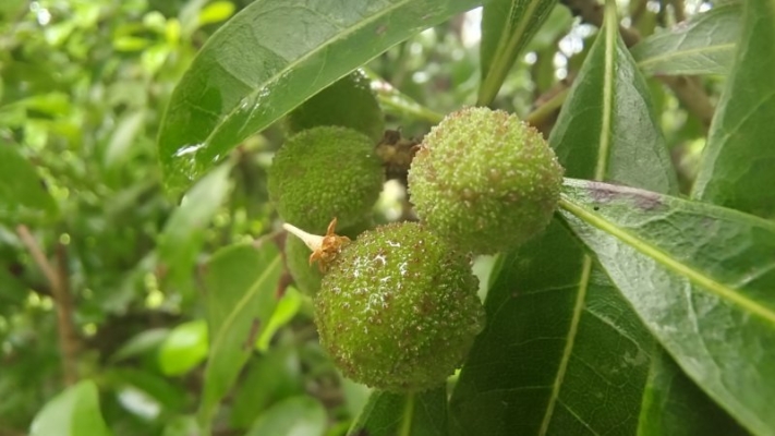 玉潤(rùn)水果店赤峰店電話(huà)號(hào)碼-第1張圖片