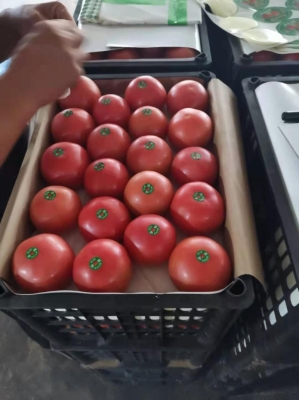 赤峰市風(fēng)干羊肉批發(fā)電話號(hào)碼-第1張圖片