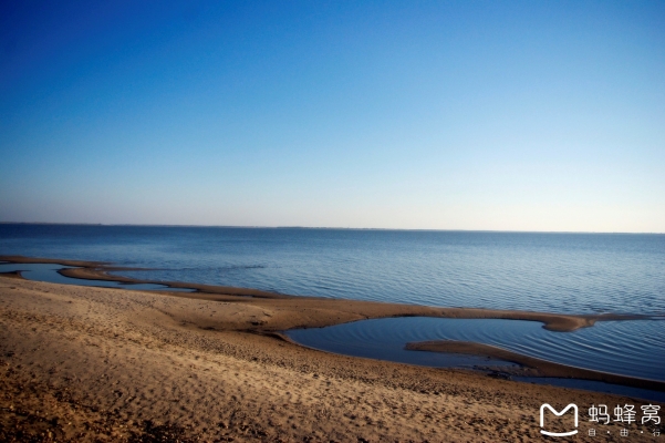 赤峰巴雅斯古楞社區(qū)電話號(hào)碼-第1張圖片