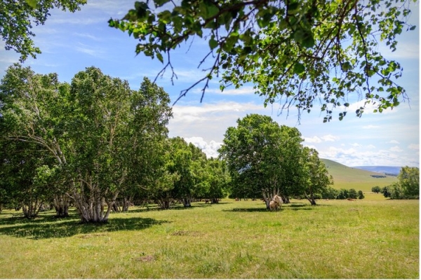 赤峰市射箭學校官網(wǎng)電話號碼-第1張圖片