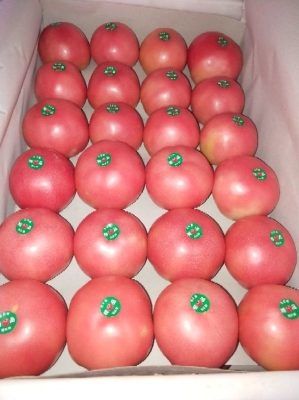 赤峰寧城縣農(nóng)機(jī)廠電話號碼-第1張圖片