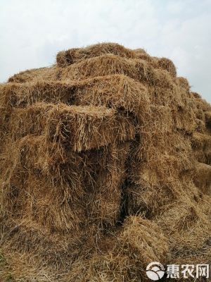 赤峰出售小麥秸稈電話號碼是多少-第1張圖片