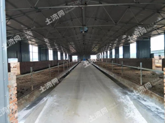 赤峰畜牧局賣牛奶電話地址查詢-第1張圖片