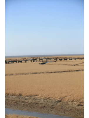 赤峰大海撈針電話號碼查詢-第1張圖片