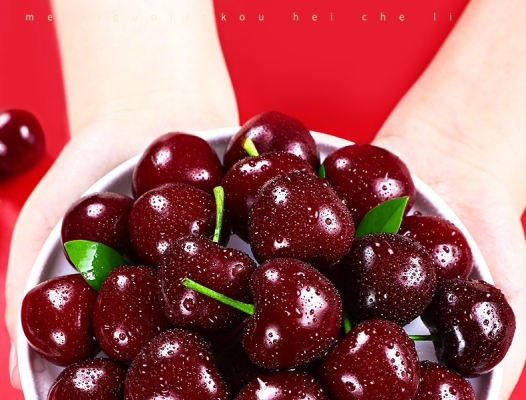 赤峰車?yán)遄拥赇伒刂冯娫捥?hào)碼-第1張圖片