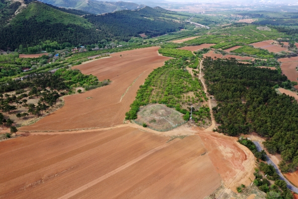 赤峰紅山區(qū)燒紙批發(fā)電話號(hào)碼-第1張圖片