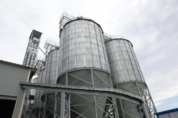 赤峰雁鵝養(yǎng)殖廠家電話號碼-第1張圖片