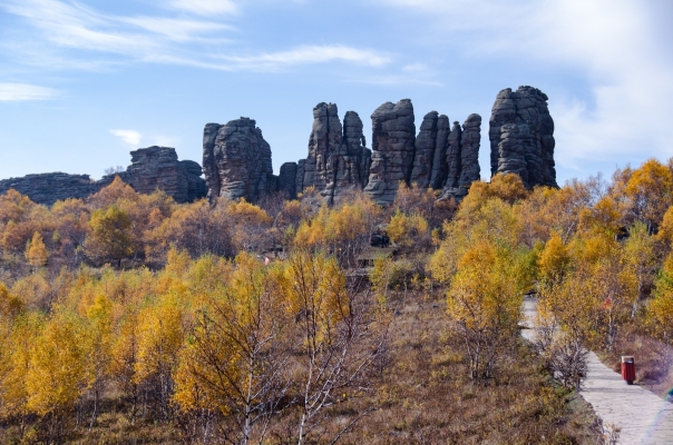 赤峰石林寵物醫(yī)院地址電話號碼-第1張圖片