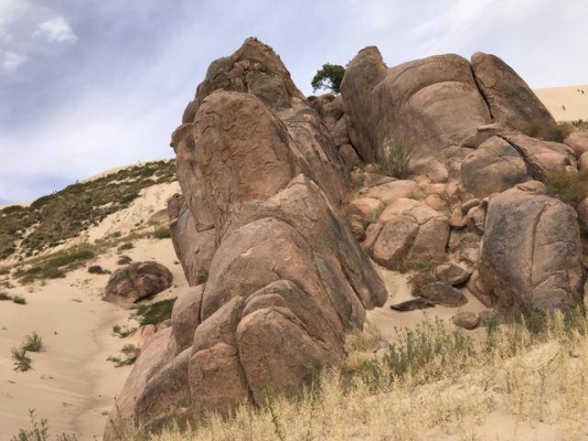 赤峰邁度跑步機(jī)維修電話號(hào)碼-第1張圖片