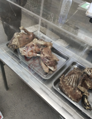 赤峰狗場聯(lián)系方式電話號碼-第1張圖片