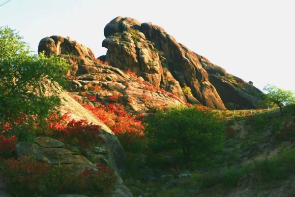 赤峰海達(dá)廣場(chǎng)玩具店電話號(hào)碼-第1張圖片