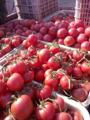 赤峰寧城中大型飯店電話號(hào)碼-第1張圖片