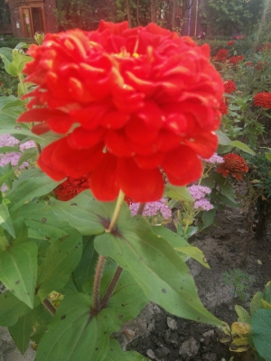 赤峰林西女子監(jiān)獄地址電話號碼-第1張圖片