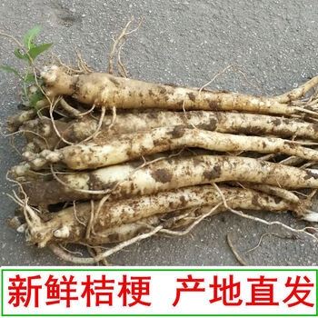 赤峰董氏中藥店地址電話號碼-第1張圖片