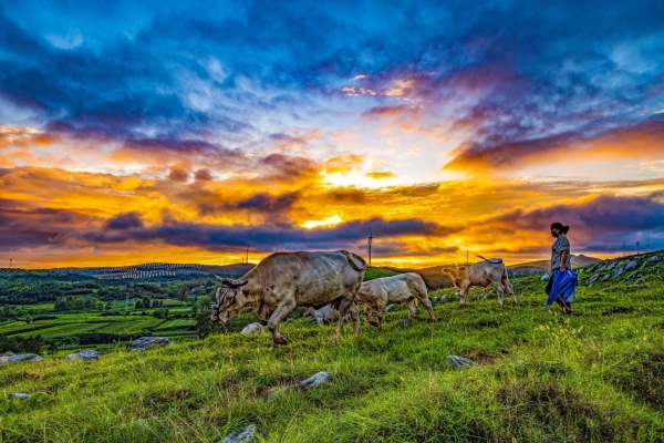 赤峰市東郊村村長電話號碼是多少-第1張圖片