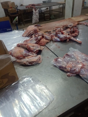 赤峰羊肉卷機器廠家電話號碼-第1張圖片