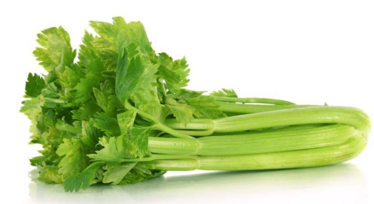 赤峰肉制品廠電話地址查詢號(hào)碼-第1張圖片