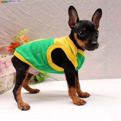 赤峰出售鹿犬電話號碼查詢地址-第1張圖片