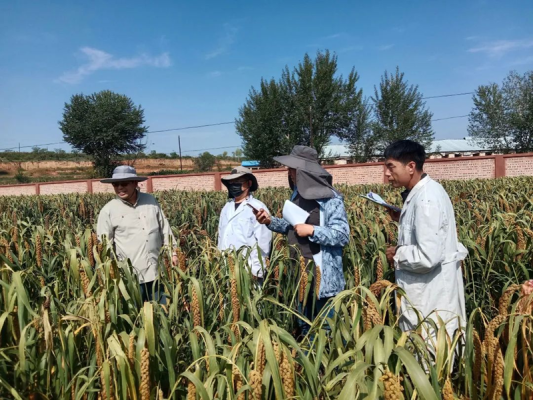 赤峰中藥材種子市場電話號(hào)碼-第1張圖片