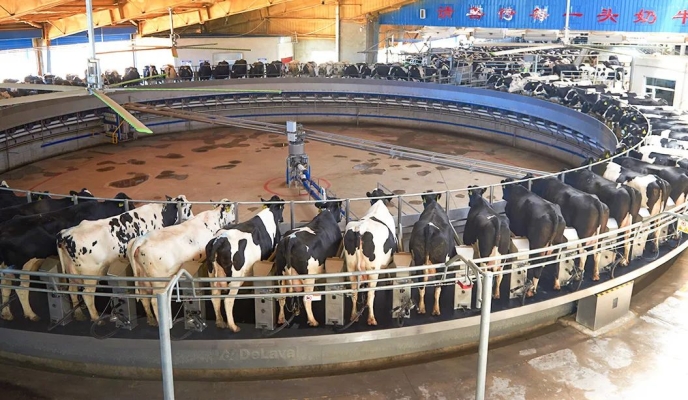 赤峰牧場售后服務電話號碼查詢-第1張圖片