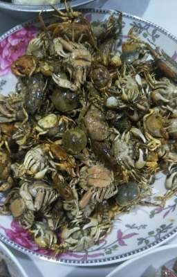 赤峰海邊趕海最新政策電話號碼-第1張圖片