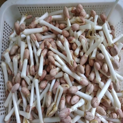 赤峰摘菜機(jī)廠家聯(lián)系電話號(hào)碼-第1張圖片