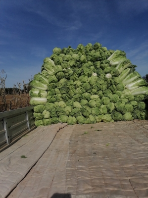 赤峰紅山區(qū)賣帽子的電話號(hào)碼-第1張圖片