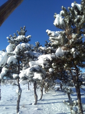 赤峰市寧城縣職校電話號碼-第1張圖片