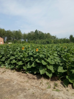 赤峰林西維多利超市電話號(hào)碼-第1張圖片