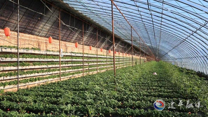 赤峰市暖棚出租電話號碼查詢-第1張圖片