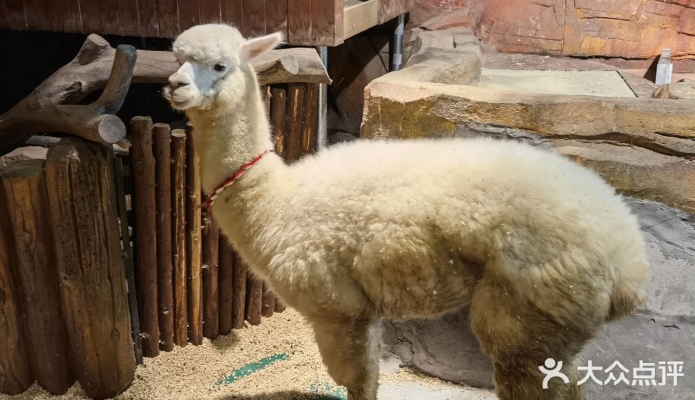 赤峰市貝爾游樂園電話號碼-第1張圖片