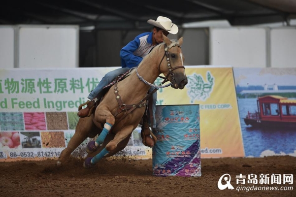 赤峰樂馭馬術(shù)館電話號(hào)碼查詢-第1張圖片