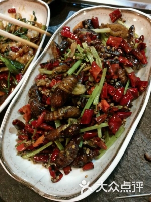 赤峰酷烤大板店電話號(hào)碼查詢-第1張圖片