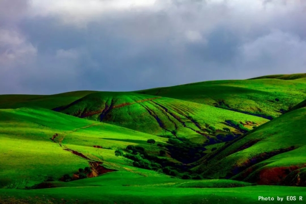赤峰尼桑車維修電話號(hào)碼查詢-第1張圖片