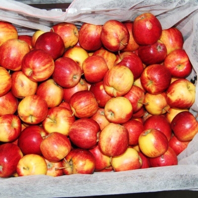 內(nèi)蒙古赤峰水果代賣電話號碼-第1張圖片