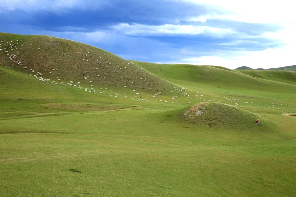 濰坊至赤峰拼車電話號(hào)碼多少-第1張圖片