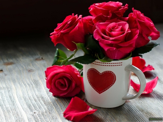 赤峰花思語花店電話號碼查詢-第1張圖片