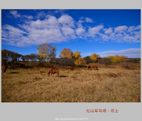 赤峰軍馬場(chǎng)拼車群電話地址查詢-第1張圖片